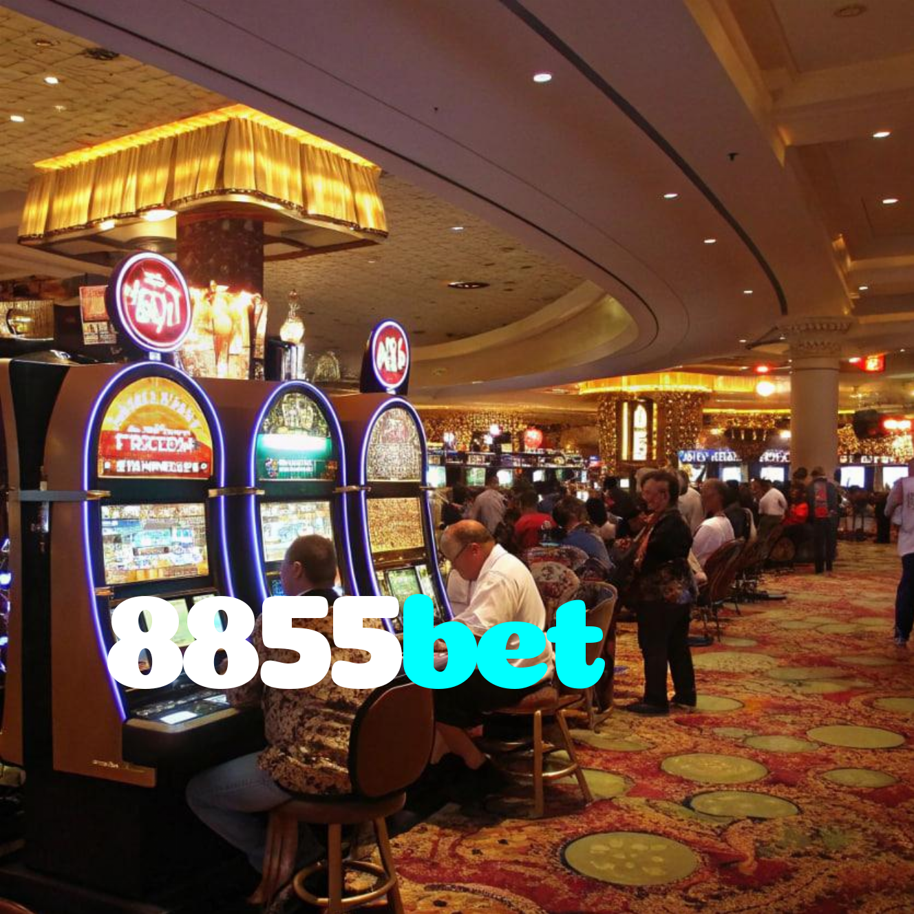 8855bet - Baixe o app 8855bet no Google Play e jogue ao vivo