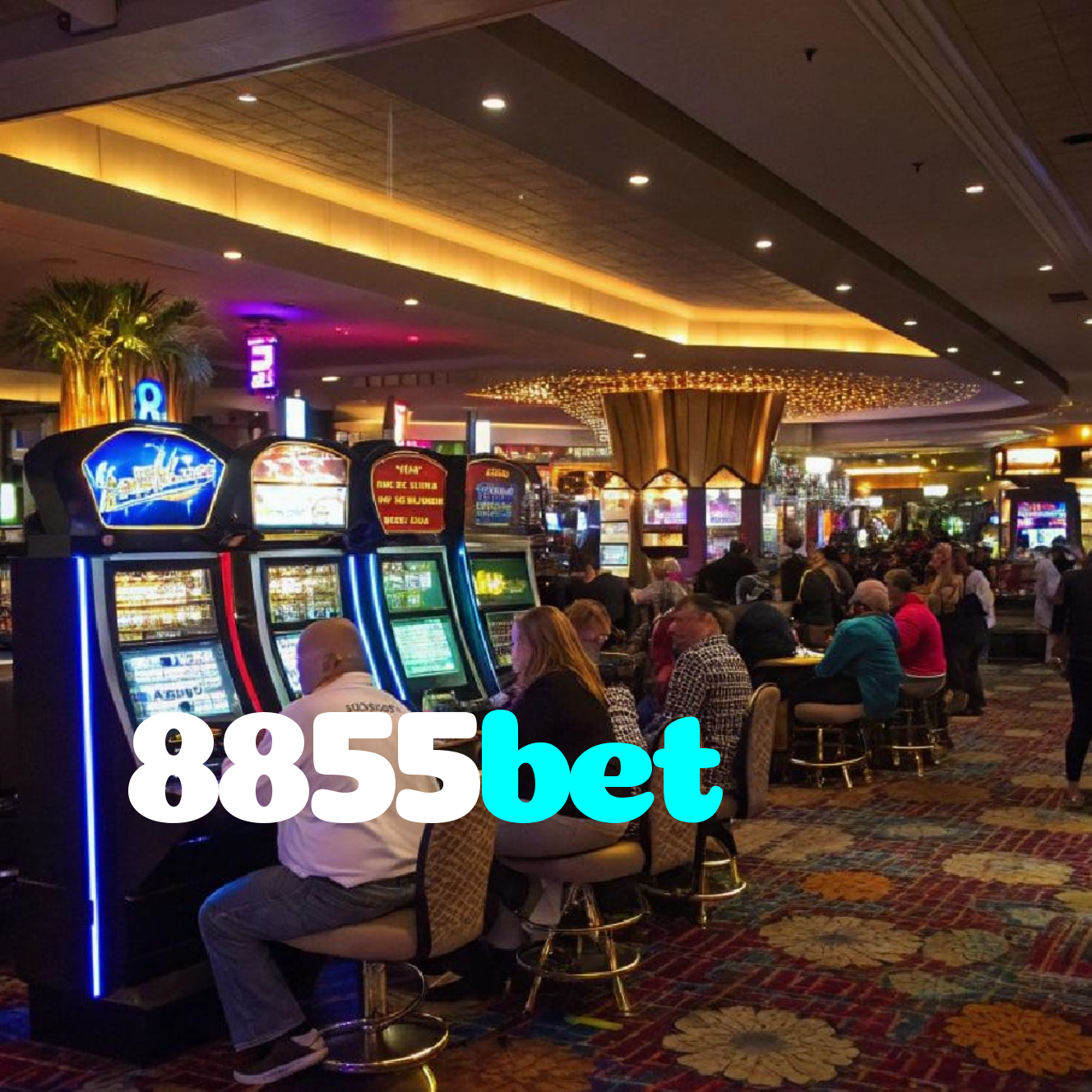 8855bet - Baixe o App 8855bet para Android e Comece a Jogar
